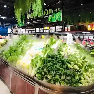 Ultrasonic Mist Spray System for Vegetable Preservation, Customized Outdoor Water Misting Maker Humidifier Control System with CE certificate, for Fogging, Cooling, Moisturizing, Dust Suppression, Static Elimination, Mosquito Repellent, Sanitization