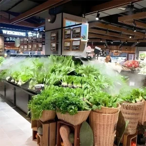 Ultrasonic Misting System for Vegetable Preservation, Customized Outdoor Water Misting Maker Humidifier Control System with CE certificate, for Fogging, Cooling, Moisturizing, Dust Suppression, Static Elimination, Mosquito Repellent, Sanitization